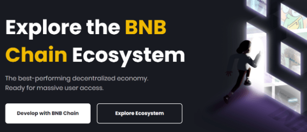 曾经盛极一时的币安智能链未来会走向衰落吗<strong></p>
<p>币安BNB</strong>？