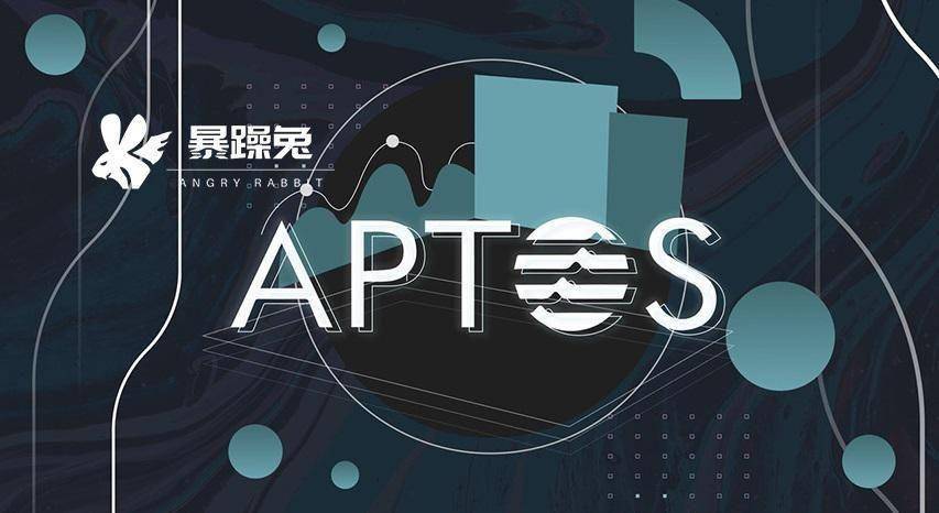 热门项目 Aptos 的24小时操作回顾