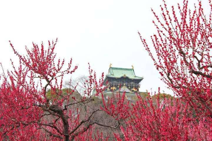 人民币上的花<strong></p>
<p>上交易所的币是真币吗</strong>，你家养了吗？