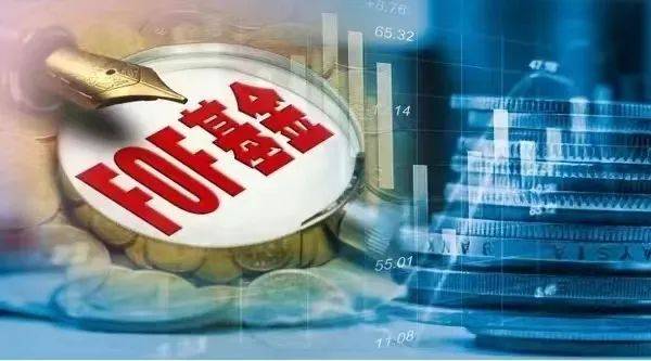FOF潮流乍现！“基金买手”增配ETF<strong></p>
<p>fof基金</strong>，小众赛道受欢迎