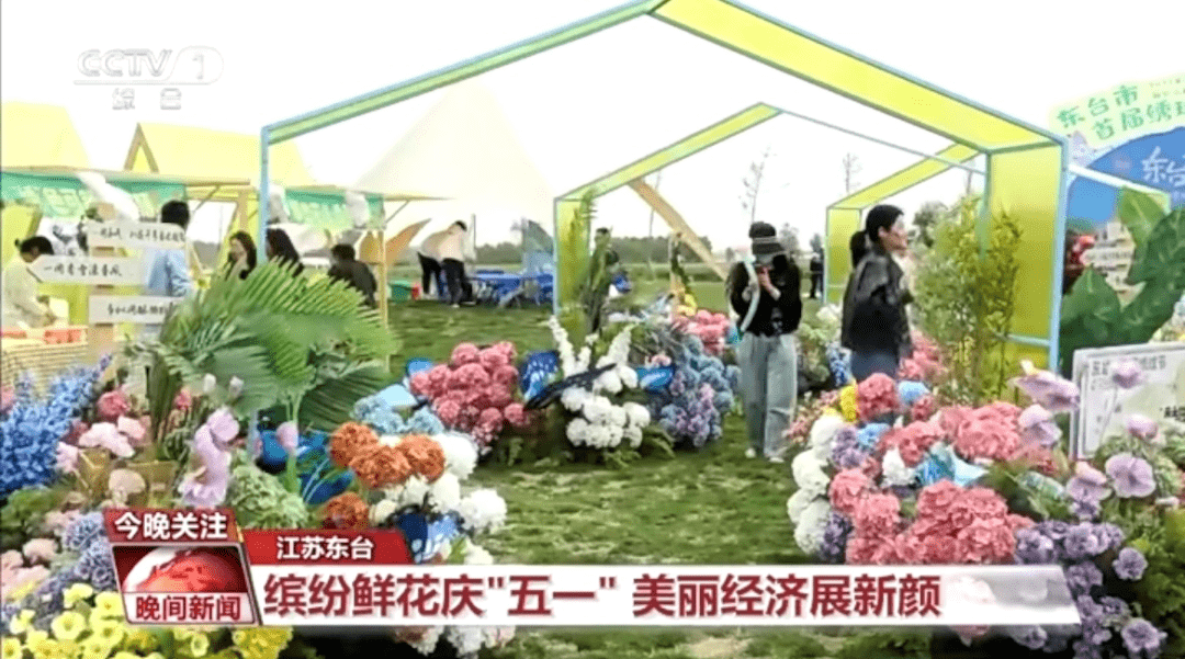 《新闻联播》点赞<strong></p>
<p>新闻联播</strong>！央视聚焦盐城！