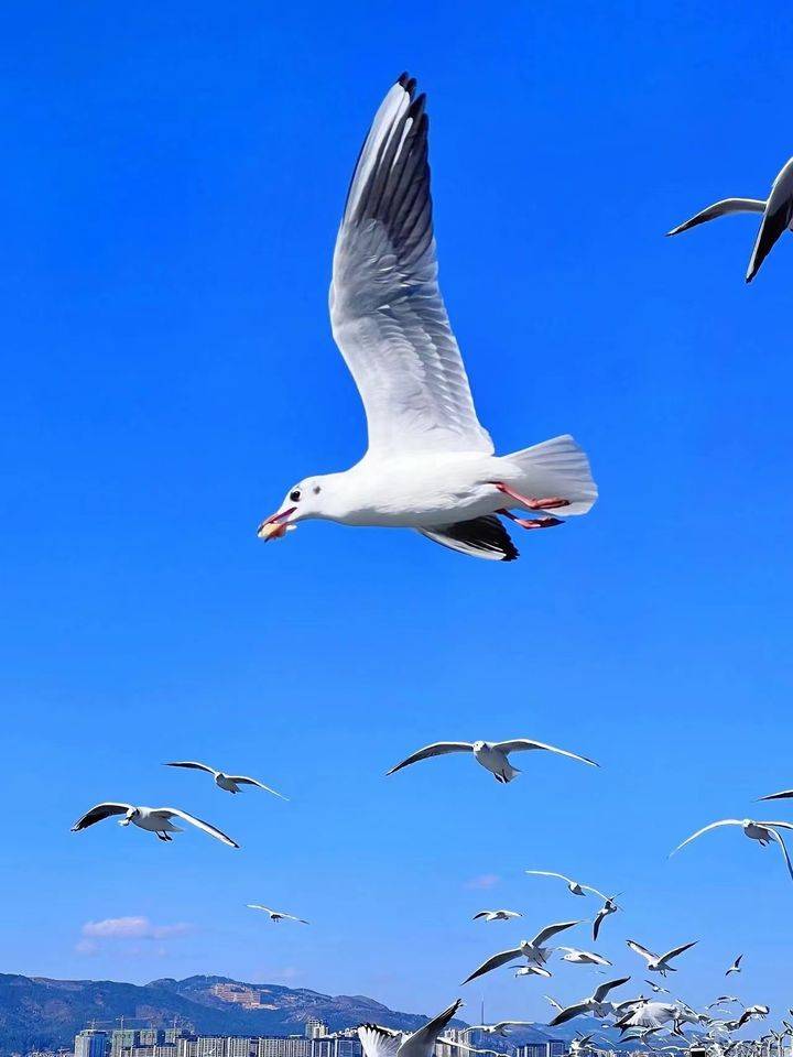 中级经济师刷题好用的APP：答应我<strong></p>
<p>点刷软件</strong>，备考刷题的软件一定要有这些