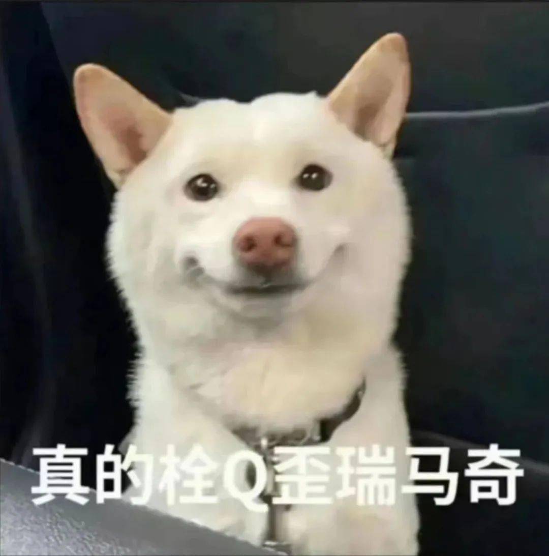 全网被嘲的“沪币”<strong></p>
<p>购币网</strong>，到底有多贵？