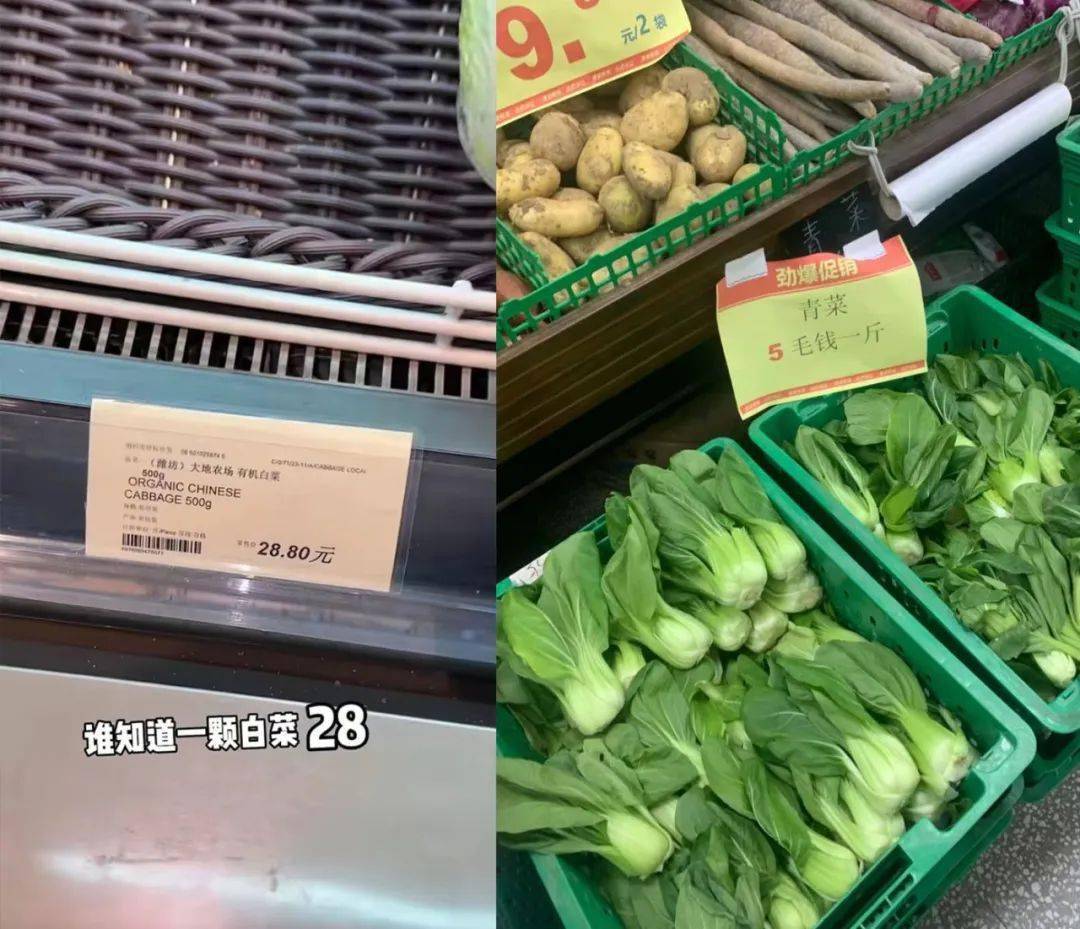 全网被嘲的“沪币”<strong></p>
<p>购币网</strong>，到底有多贵？
