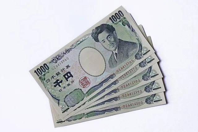 什么是避险货币<strong></p>
<p>货币有价格</strong>？外汇中的避险货币有哪些？