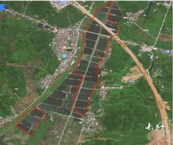 增长超50%<strong></p>
<p>云交易</strong>！佛冈龙山集体经济搭上“云”交易快车