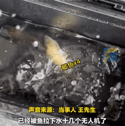 男子在家操控无人机钓鱼<strong></p>
<p>币币账户</strong>，当天就钓上十几条，当事人：不要轻易尝试，已被鱼拉下水十几个无人机