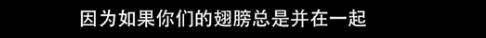他们那么幸福恩爱<strong></p>
<p>moc币20个币</strong>，怎么突然离婚了……