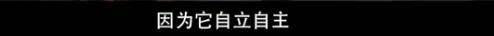 他们那么幸福恩爱<strong></p>
<p>moc币20个币</strong>，怎么突然离婚了……