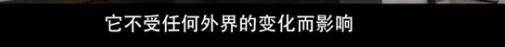 他们那么幸福恩爱<strong></p>
<p>moc币20个币</strong>，怎么突然离婚了……