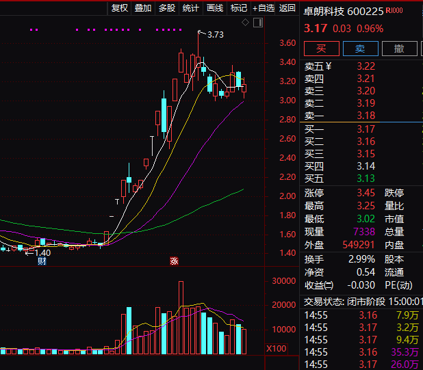 连续5年造假！这只A股<strong></p>
<p>vrc客户端软件下载</strong>，面临强制退市！
