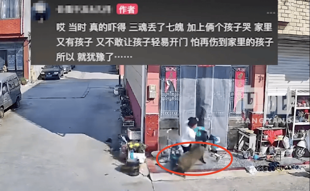 街头横冲直闯<strong></p>
<p>债券回购交易案例</strong>，抱娃女子被撞伤，警方：已被特警击毙