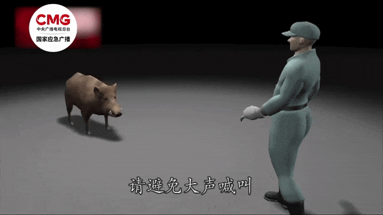 街头横冲直闯<strong></p>
<p>债券回购交易案例</strong>，抱娃女子被撞伤，警方：已被特警击毙