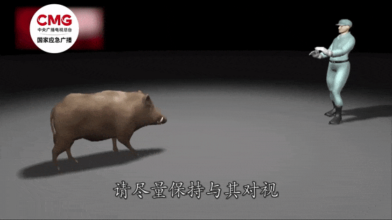 街头横冲直闯<strong></p>
<p>债券回购交易案例</strong>，抱娃女子被撞伤，警方：已被特警击毙