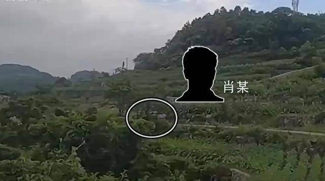 山东省军区、山东警方联合行动<strong></p>
<p>eth币今日价格</strong>，7名犯罪嫌疑人被抓捕