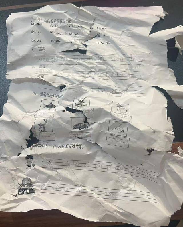 ​晚上回家发现语文作业被扫地机器人“吃”了<strong></p>
<p>利率是货币的价格</strong>，杭州小学生陷入纠结
