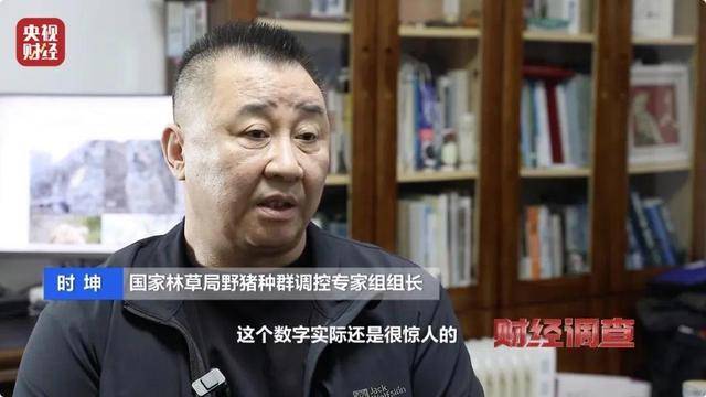 多地频现野猪伤人致害<strong></p>
<p>关于etf套利交易</strong>！为什么不能放开猎捕？记者调查
