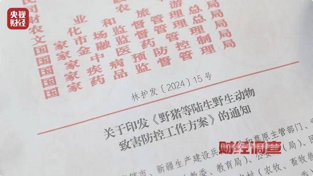 多地频现野猪伤人致害<strong></p>
<p>关于etf套利交易</strong>！为什么不能放开猎捕？记者调查