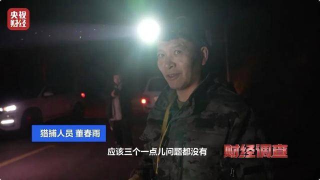 多地频现野猪伤人致害<strong></p>
<p>关于etf套利交易</strong>！为什么不能放开猎捕？记者调查