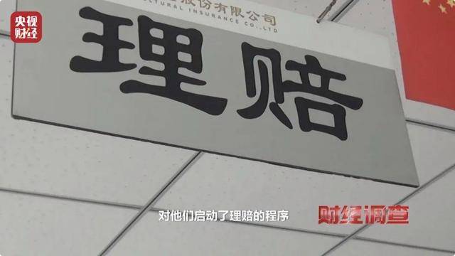 多地频现野猪伤人致害<strong></p>
<p>关于etf套利交易</strong>！为什么不能放开猎捕？记者调查
