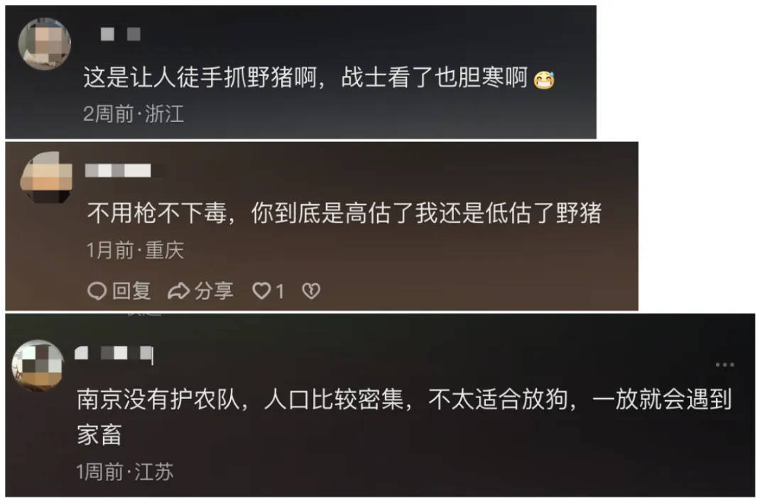 91.5万元打300头野猪<strong></p>
<p>可以交易公信宝的网站</strong>，南京一企业中标后弃标，知情人：人手不够