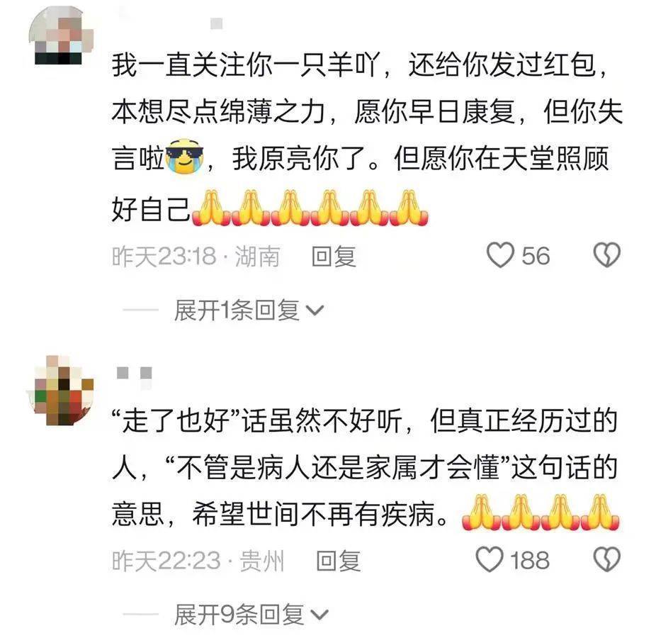 她走了<strong></p>
<p>三角货币对冲ea</strong>，年仅29岁！从确诊到离世不到两年