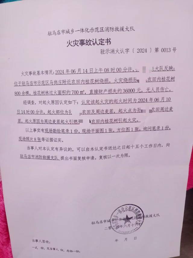 群众近千棵桂花树被烧死<strong></p>
<p>电力现货交易试点</strong>，为何不立案？驻马店回应