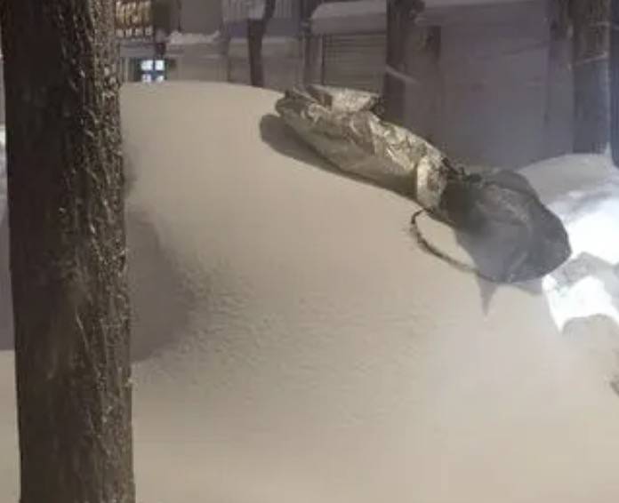 直击黑龙江鹤岗降雪：已破纪录<strong></p>
<p>电力现货交易试点</strong>，最大积雪深48厘米