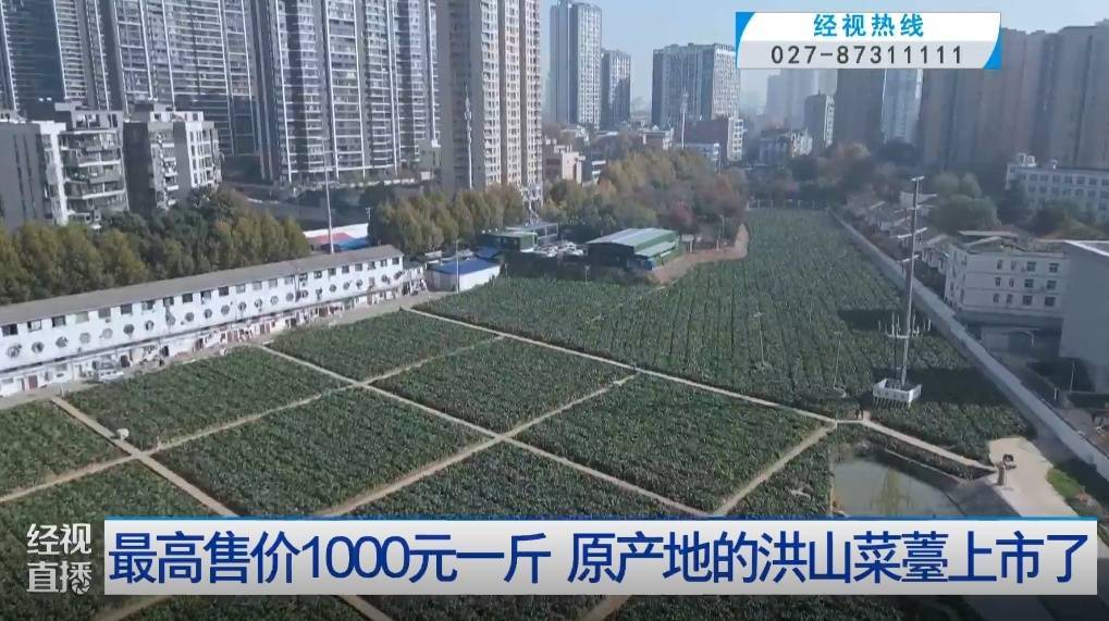 武汉人爱吃！最高1000元一斤<strong></p>
<p>波场币多少钱一个</strong>，供不应求