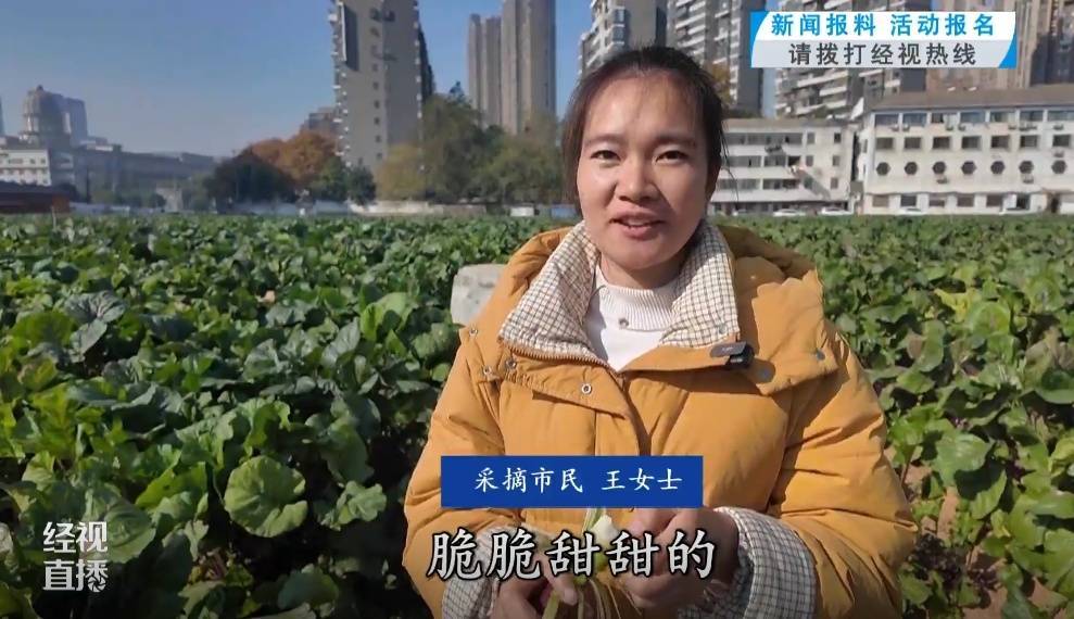 武汉人爱吃！最高1000元一斤<strong></p>
<p>波场币多少钱一个</strong>，供不应求