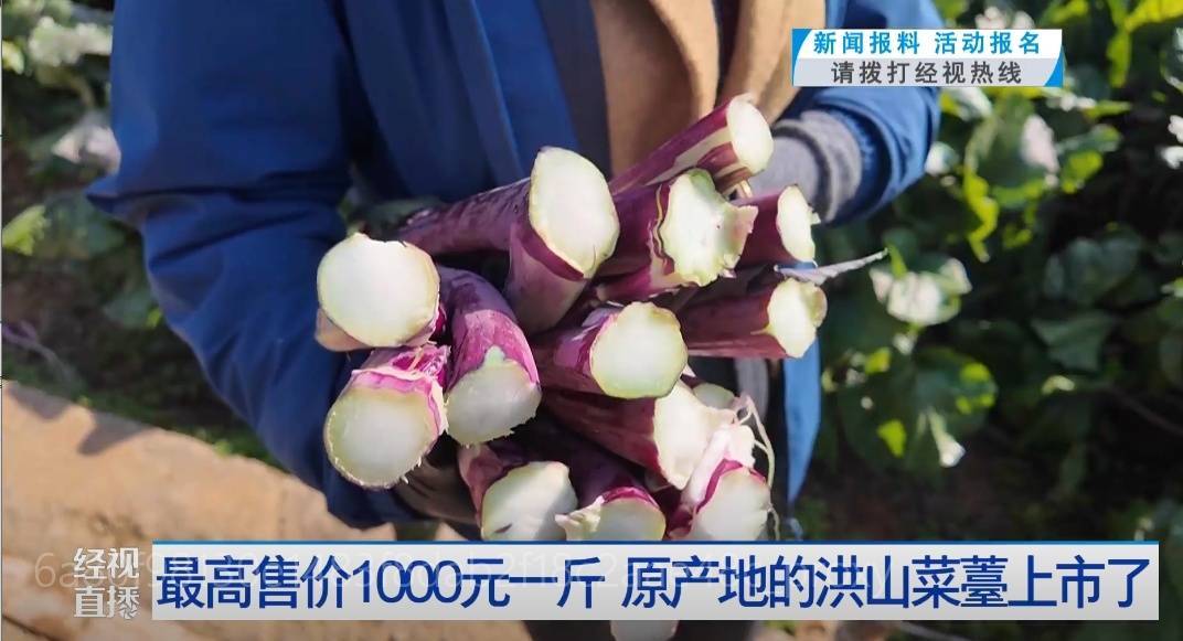 武汉人爱吃！最高1000元一斤<strong></p>
<p>波场币多少钱一个</strong>，供不应求