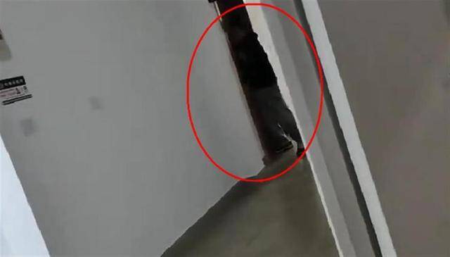 上海一高校男生晚上撞开女生寝室门<strong></p>
<p>binance下载</strong>，校方：醉酒后走错了
