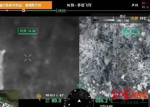 揭秘“野猪猎捕队”丨海拔3000米高山密林<strong></p>
<p>货币的时间价值</strong>，记者跟队直击猎捕野猪全过程