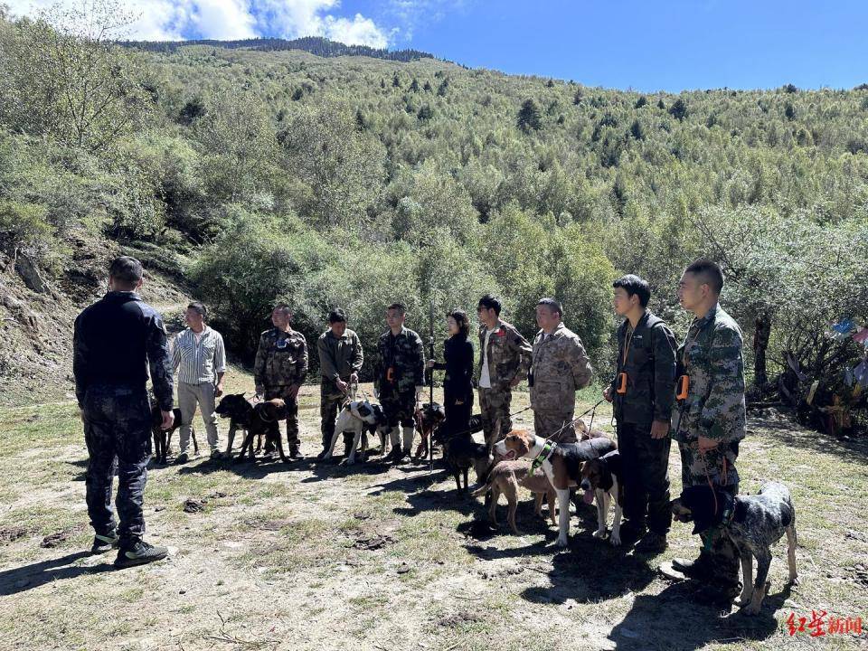 揭秘“野猪猎捕队”丨海拔3000米高山密林<strong></p>
<p>货币的时间价值</strong>，记者跟队直击猎捕野猪全过程