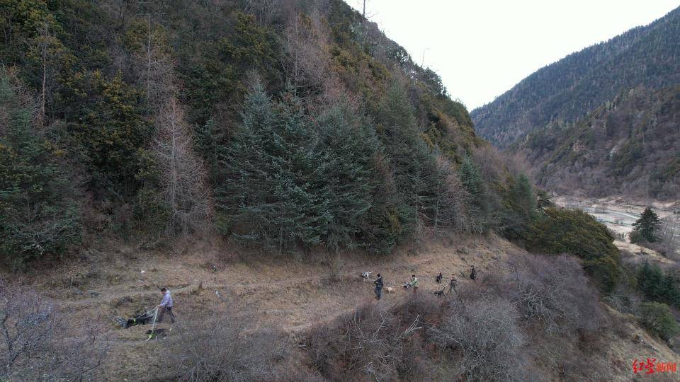 揭秘“野猪猎捕队”丨海拔3000米高山密林<strong></p>
<p>货币的时间价值</strong>，记者跟队直击猎捕野猪全过程