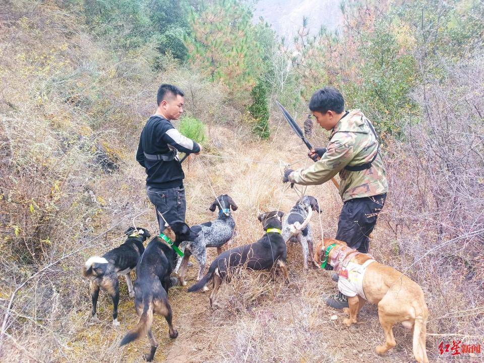 揭秘“野猪猎捕队”丨海拔3000米高山密林<strong></p>
<p>货币的时间价值</strong>，记者跟队直击猎捕野猪全过程