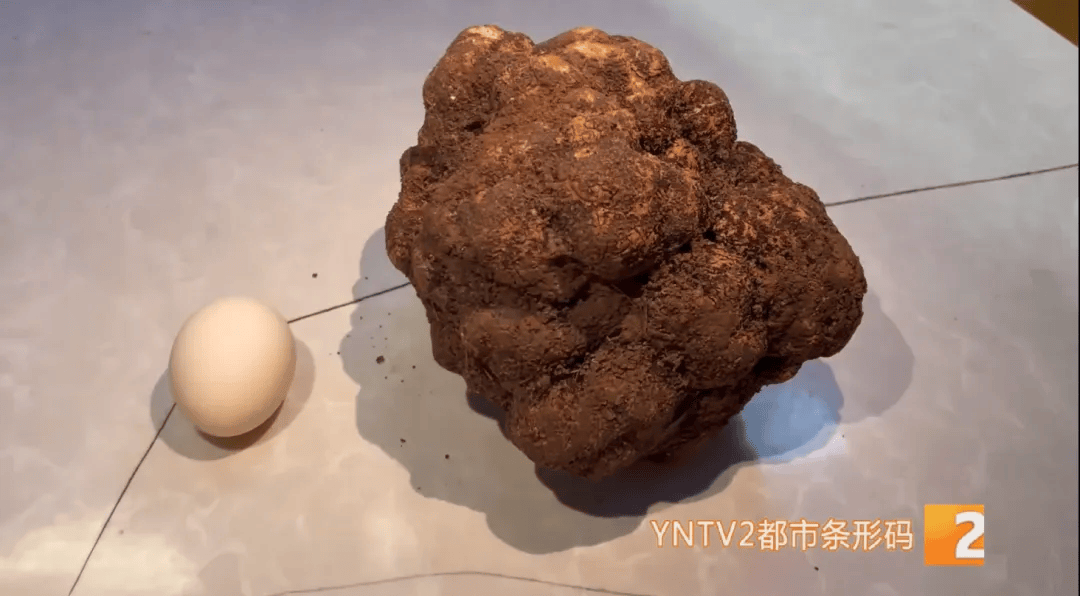昆明一村民挖到1.7公斤超大松露<strong></p>
<p>货币的时间价值</strong>！“看都看不够”