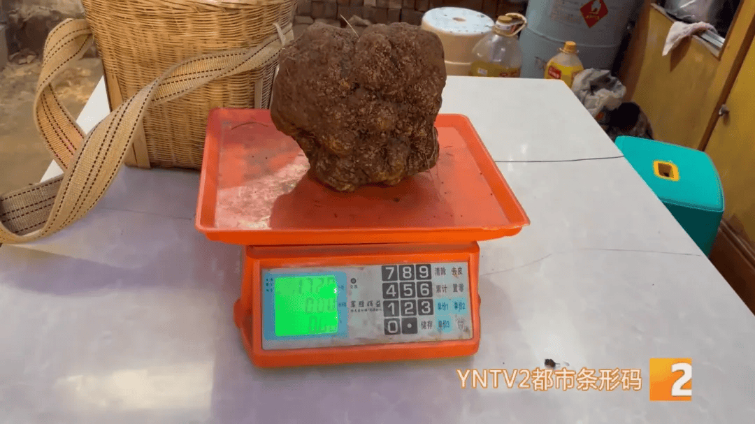 昆明一村民挖到1.7公斤超大松露<strong></p>
<p>货币的时间价值</strong>！“看都看不够”