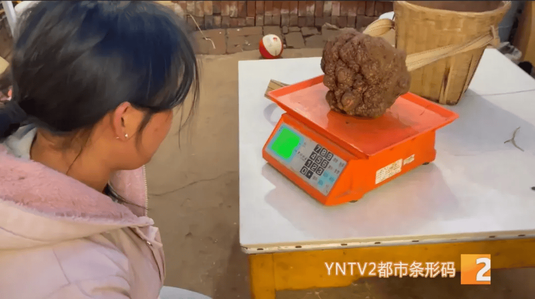 昆明一村民挖到1.7公斤超大松露<strong></p>
<p>货币的时间价值</strong>！“看都看不够”