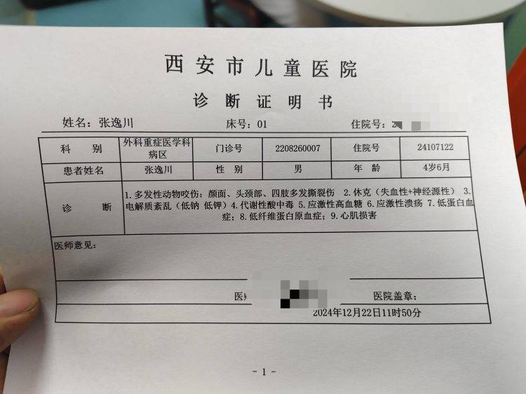 西安4岁男童遭两恶犬袭击重伤<strong></p>
<p>货币性资产交换</strong>，警方启用无人机搜寻现场