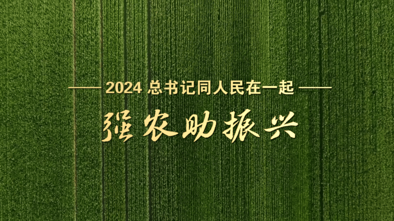 2024<strong></p>
<p>高频炒币工具推荐</strong>，总书记同人民在一起｜强农助振兴