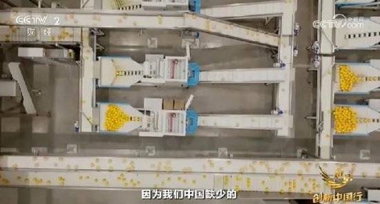 2024年末央视再度专访钟睒睒<strong></p>
<p>炒币需要知道哪些知识</strong>，背后有何深意？