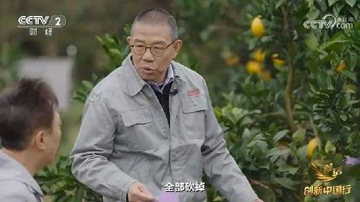 2024年末央视再度专访钟睒睒<strong></p>
<p>炒币需要知道哪些知识</strong>，背后有何深意？