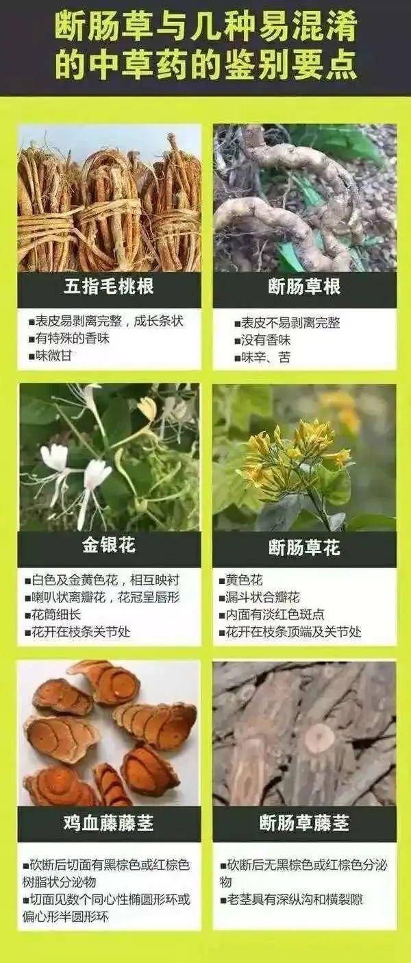 广东一老人买药材煲汤中毒身亡 当地：店铺误售断肠草<strong></p>
<p>gxs币现在价格</strong>，老板被拘留