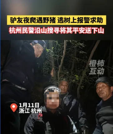 “我现在在树上<strong></p>
<p>货币市场进入门槛</strong>，野猪在下面……”杭州一男子深夜报警！