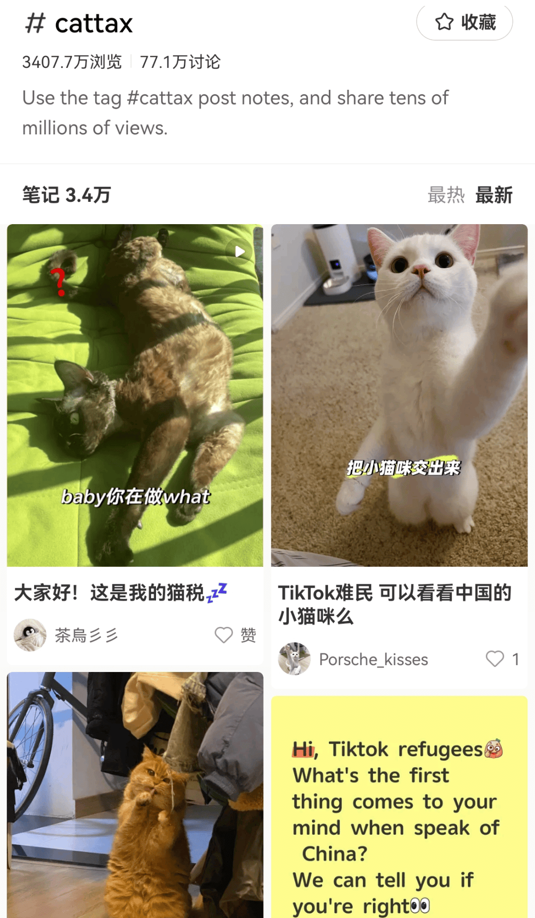 大量外国网友涌入小红书<strong></p>
<p>债券现券交易收费标准</strong>，网友喊话：别下载拼多多，等我邀请你