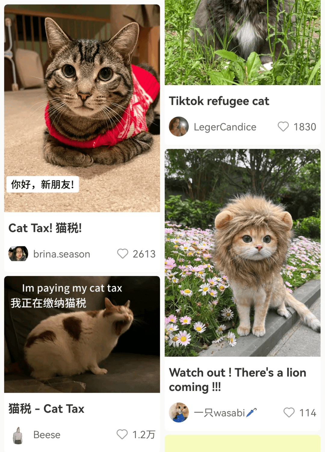 大量外国网友涌入小红书<strong></p>
<p>债券现券交易收费标准</strong>，网友喊话：别下载拼多多，等我邀请你