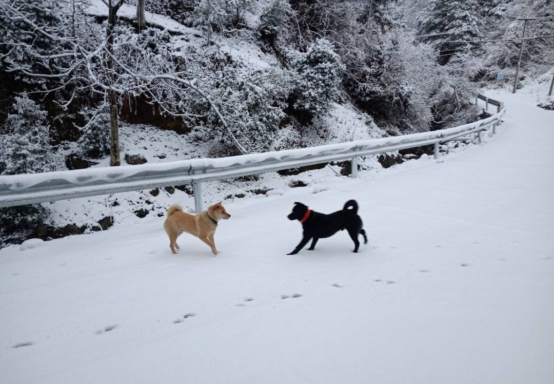 零下7℃<strong></p>
<p>原油价格行情</strong>！大到暴雪！刚刚确认：杭州又来一波猛的！周末出门千万注意.....