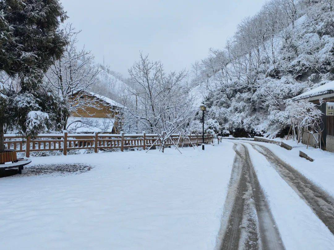 零下7℃<strong></p>
<p>原油价格行情</strong>！大到暴雪！刚刚确认：杭州又来一波猛的！周末出门千万注意.....