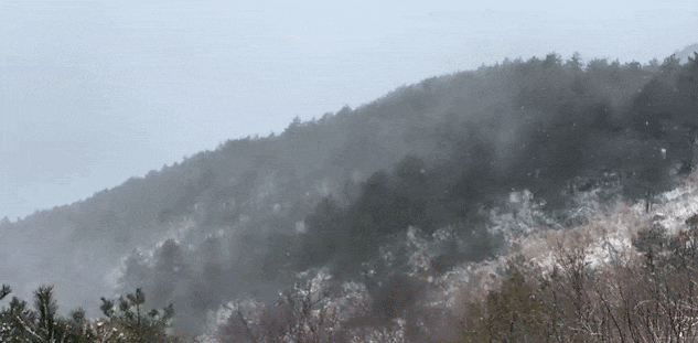 零下7℃<strong></p>
<p>原油价格行情</strong>！大到暴雪！刚刚确认：杭州又来一波猛的！周末出门千万注意.....
